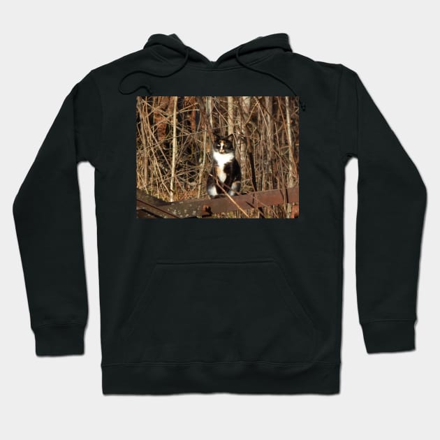 Wild Thing Hoodie by TrapperWeasel